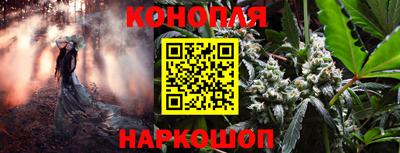 Альфа ПВП Ставрополь