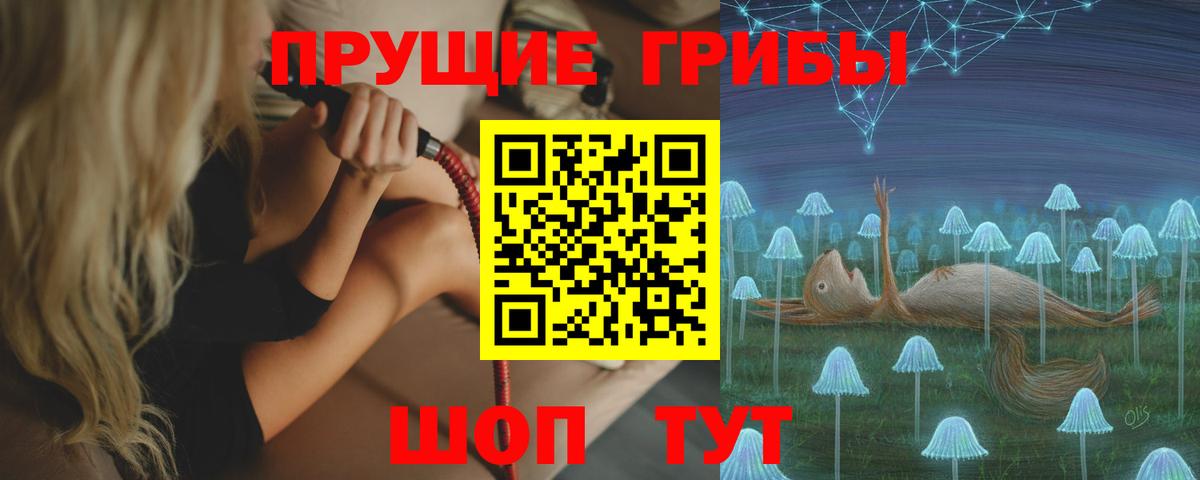 Псилоцибиновые грибы GOLDEN TEACHER Баксан