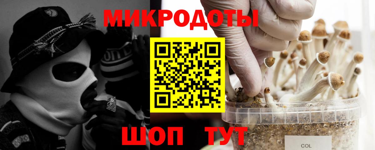 Галлюциногенные грибы Magic Shrooms  Вход с VPN  Баксан 